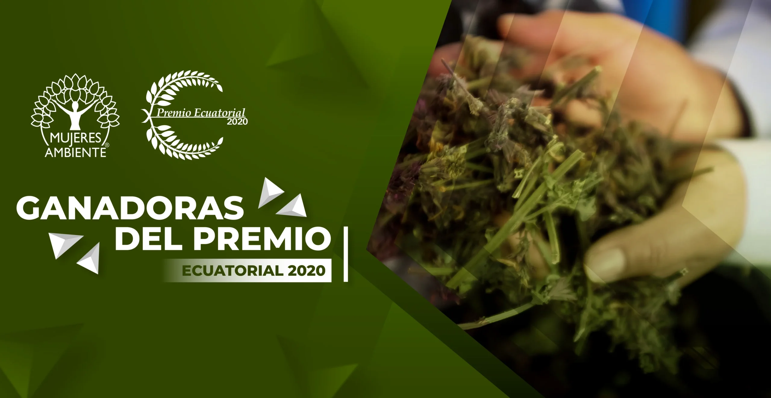 BANNER_PREMIO_ECUATORIAL